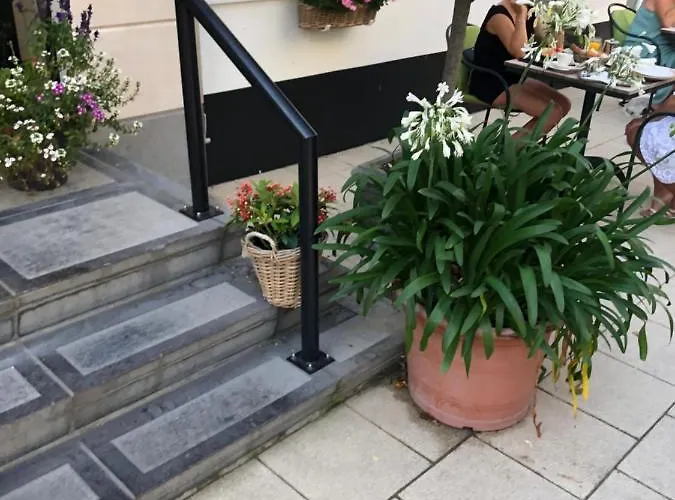 Atlanta 크노케-하이스트